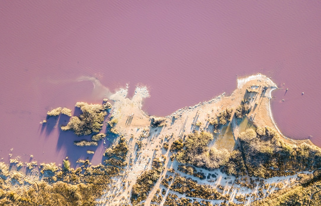 Lac de rose de Torrevieja
