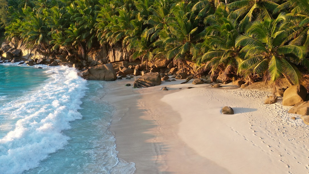 Plage paradisiaque aux Seychelles, sable blanc et cocotiers
