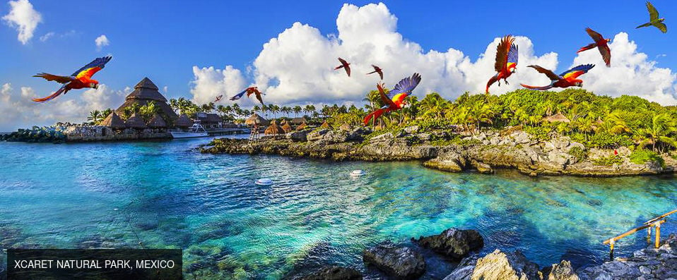 - A luxury hotel and exotic eco-park partnered with a Mexican sun and sea holiday. - Playa del Carmen, Mexico