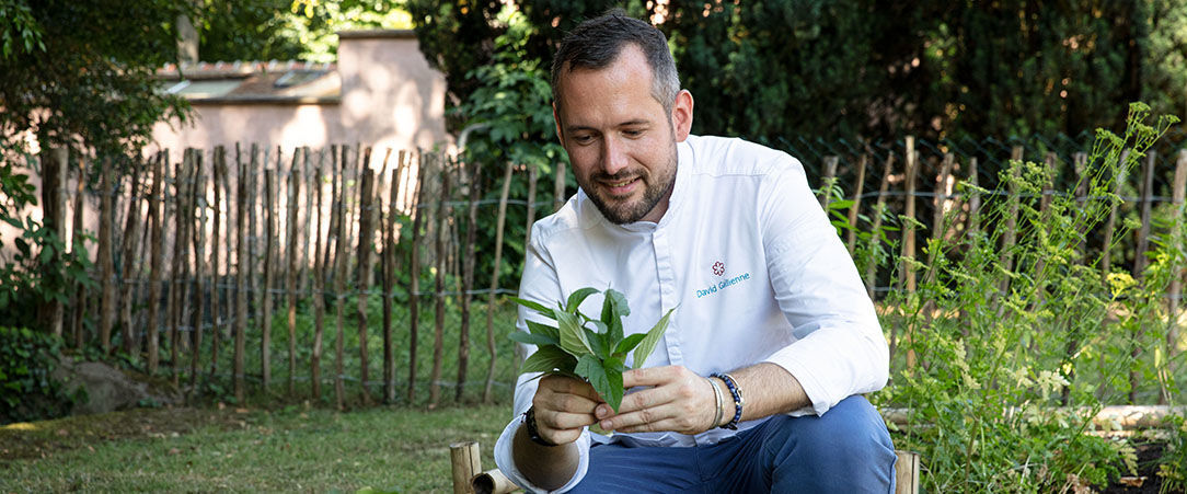 Le Jardin des Plumes - <b>La semaine des Chefs étoilés</b> : le Chef David Gallienne vous invite ! - Giverny, France