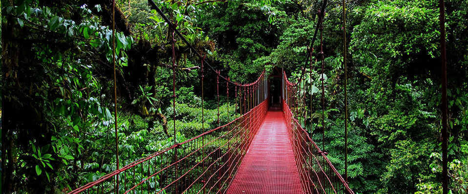 reserve-biologique-monteverde-costa-rica